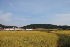 Korea Railroad Traffic - Free photo on Pixabay Free Image on Pixabay - Korea, Railroad, Traffic, Train