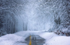 Road Forest Snow - Free photo on Pixabay