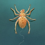 Explore 36,586+ Free Spider Man Illustrations: Download Now - Pixabay