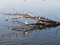 20개 이상 무료 Ast 및 자연 사진 - Pixabay