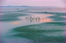 6 + 무료 갯골 & 시흥 이미지 - Pixabay