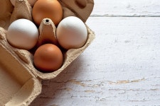 9,000+ Free Egg Packaging & Egg Carton Photos - Pixabay