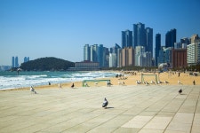 해운대 부산 바다 - Pixabay의 무료 사진