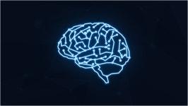 Download Brain, Mind, Cyber. Royalty-Free Vector Graphic - Pixabay Download Brain, Mind, Cyber. Royalty-Free Vector Graphic