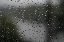 슬퍼 비 비애 - Pixabay의 무료 사진