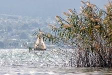 80+ Free Canneto & Nature Images - Pixabay