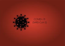 Download Covid19, Virus, Coronavirus. Royalty-Free Stock Illustration Image - Pixabay Download Covid19, Virus, Coronavirus.... 
