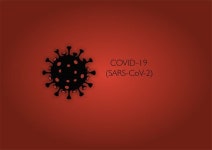 Download Covid19, Virus, Coronavirus. Royalty-Free Stock Illustration Image - Pixabay Download Covid19, Virus, Coronavirus.... 