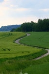 Wheat Field Road - Free photo on Pixabay