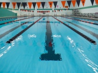 10+ Free Olympic Swimming Pool & Diving Board Photos - Pixabay
