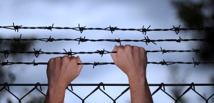 4개 이상 무료 전쟁 포로 및 전쟁 일러스트레이션 - Pixabay