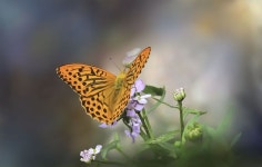 200+ Free Washing Up & Soap Photos