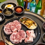 6 + 무료 목살 & 삼겹살 이미지 - Pixabay