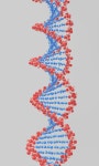 Dna Biology Biotechnology - Free photo on Pixabay
