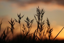 자연 황혼 옥외 - Pixabay의 무료 사진