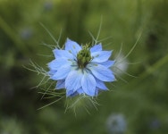 페이지 2 - 30,000개 이상 무료 In Hat 및 자연 사진 - Pixabay