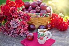 10,000+ Free Apple Cider & Apple Photos - Pixabay