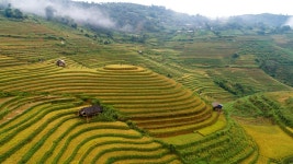 Terraces Farm Landscape - Free photo on Pixabay Free Image on Pixabay - Terraces, Farm, Landscape, Rice