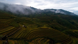 Terraces Farm Landscape - Free photo on Pixabay Free Image on Pixabay - Terraces, Farm, Landscape, Rice