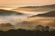 Forest Face Fog - Free photo on Pixabay - Pixabay Forest Face Fog - Free photo on Pixabay