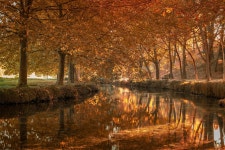 3,000+ Free Las & Shangri-La Photos - Pixabay