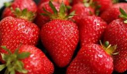Fruit Strawberry Organic - Free photo on Pixabay Free Image on Pixabay - Fruit, Strawberry, Organic, Sweet