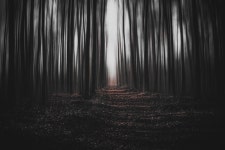 100+ Free Gloomily & Nature Photos - Pixabay