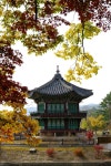 Nature Autumn Temple Gyeongbok - Free photo on Pixabay
