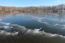 Lake Forest Ice - Free photo on Pixabay Free Image on Pixabay - Lake, Forest, Ice, Snow, Frost