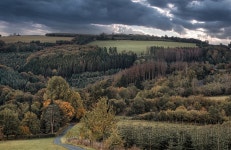 200개 이상 무료 Sauerland 및 자연 사진 - Pixabay