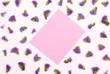 4,000+ Free Lavenders & Nature Photos