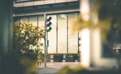 8,000개 이상 무료 가로등 및 자연 사진 - Pixabay