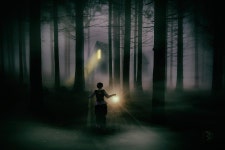 숲 안개 길 - Pixabay의 무료 사진