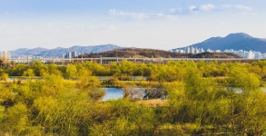 River Countryside Daegu - Free photo on Pixabay