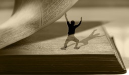 6,000개 이상 무료 그늘 및 자연 사진 - Pixabay