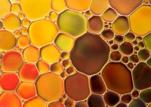 Cosmetic Oil Essential - Free photo on Pixabay - Pixabay Cosmetic Oil Essential - Free photo on Pixabay