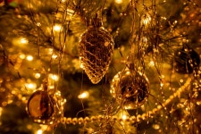 Christmas Tree Holiday Season - Free photo on Pixabay