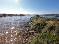 대양 바다 태양 - Pixabay의 무료 사진