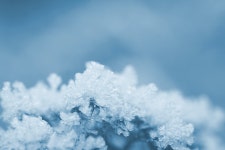 Ice Frost Winter - Free photo on Pixabay
