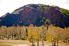 나무 산 바위 - Pixabay의 무료 사진