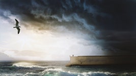 100+ Free Ark & Noah Photos - Pixabay