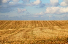 400+ Free Stubble & Field Photos - Pixabay