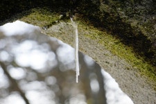 Ice Icicle Winter - Free photo on Pixabay Free Image on Pixabay - Ice, Icicle, Winter, Concrete