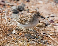 40+ Free Least & Solingen Photos - Pixabay