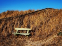 Metapainter - Pixabay Download free media from Metapainter | Pixabay