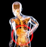 80+ Free Gutting & Gut Images - Pixabay