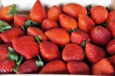 Strawberries Fruits Ripe - Free photo on Pixabay Free Image on Pixabay - Strawberries, Fruits