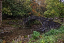 Bridge Landscape Forest - Free photo on Pixabay Free Image on Pixabay - Bridge, Landscape, Forest, Travel