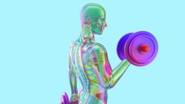 Download Anatomy Body Science Royalty-Free Stock Illustration Image - Pixabay Download Anatomy Body Science Royalty-Free Stock... 
