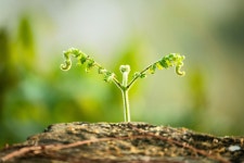 1,000 + 무료 Curling & 컬링 이미지 - Pixabay